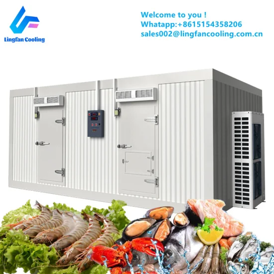 Instalación gratuita de equipos de refrigeración de contenedores frigoríficos nuevos o usados ​​de 20